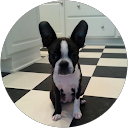 Katie Faber profile picture